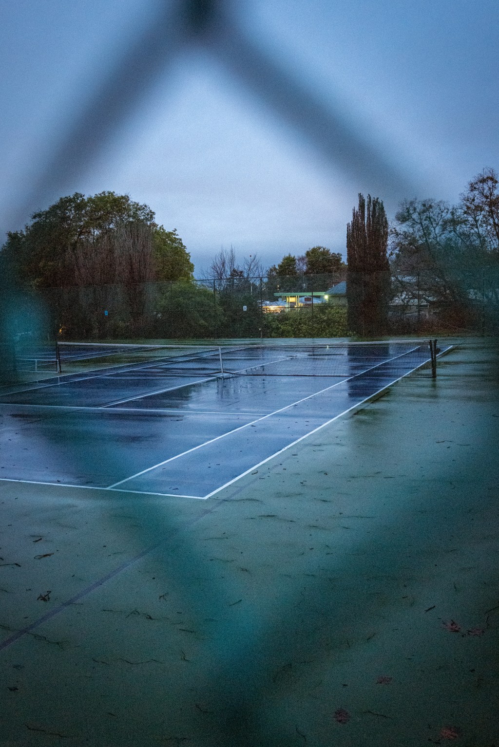 Wet Open Court