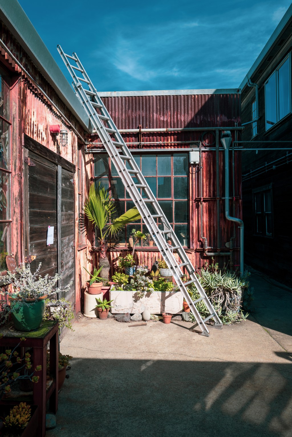 Ladder To Blue&nbsp;Skies