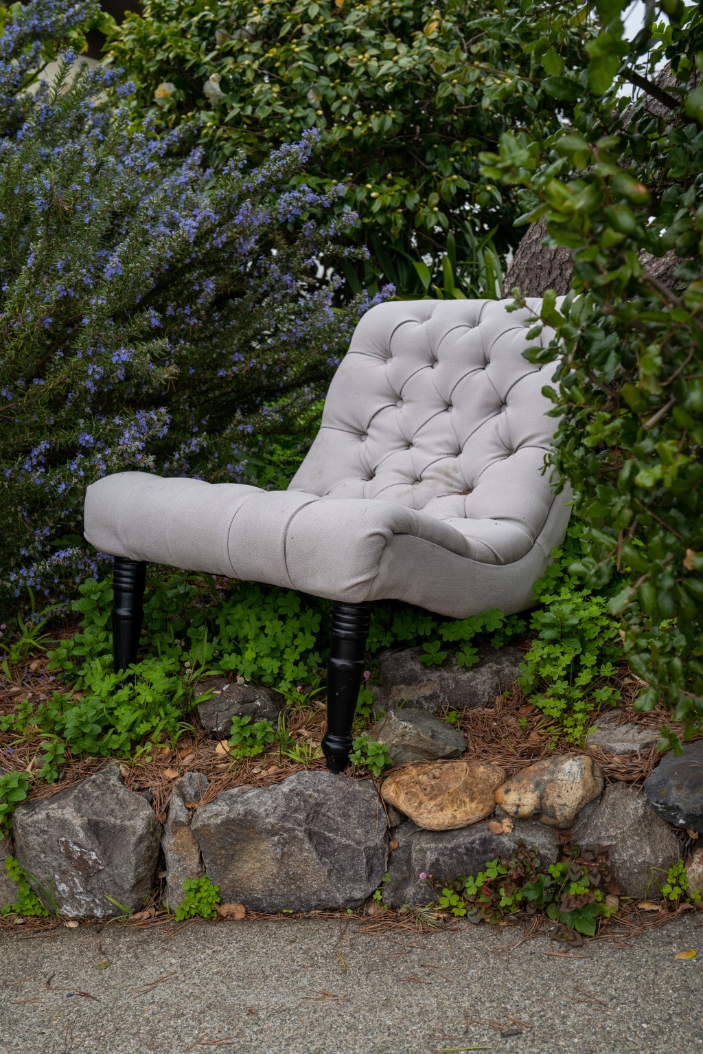 Garden Lounge Chair