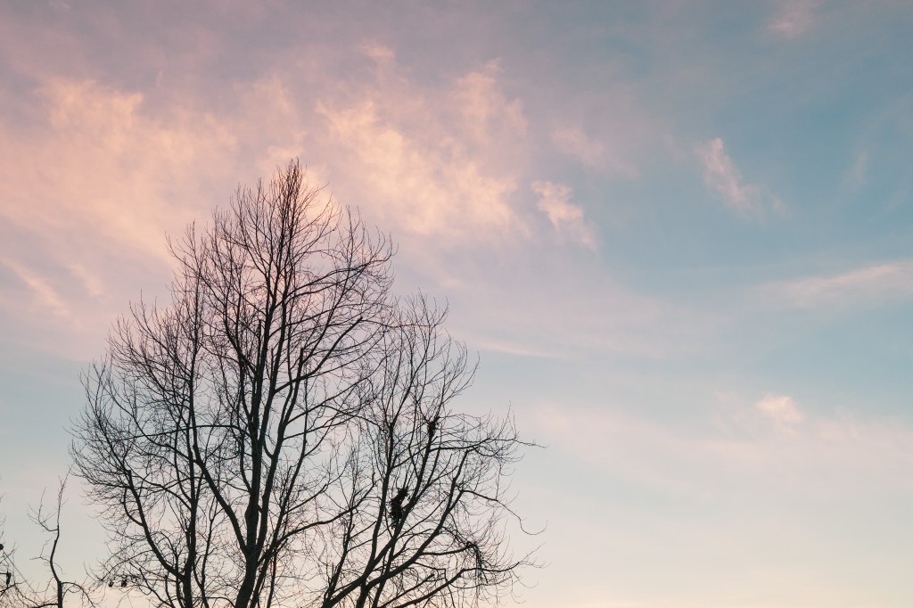 Cotton Candy Cirrostratus