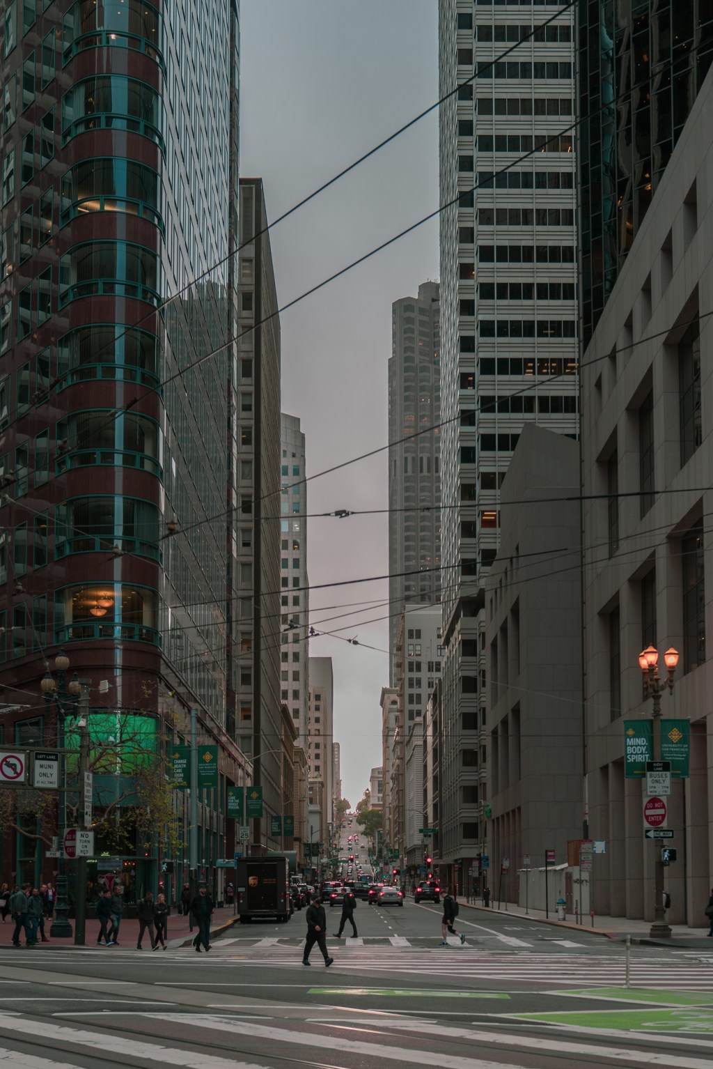 Looking West on&nbsp;Pine