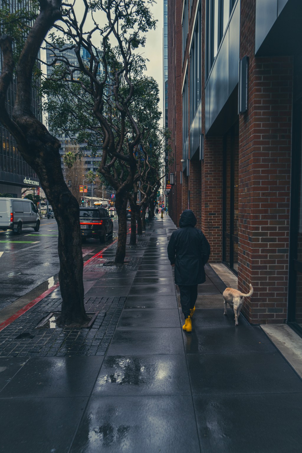 Gotta Get My Walk&nbsp;In