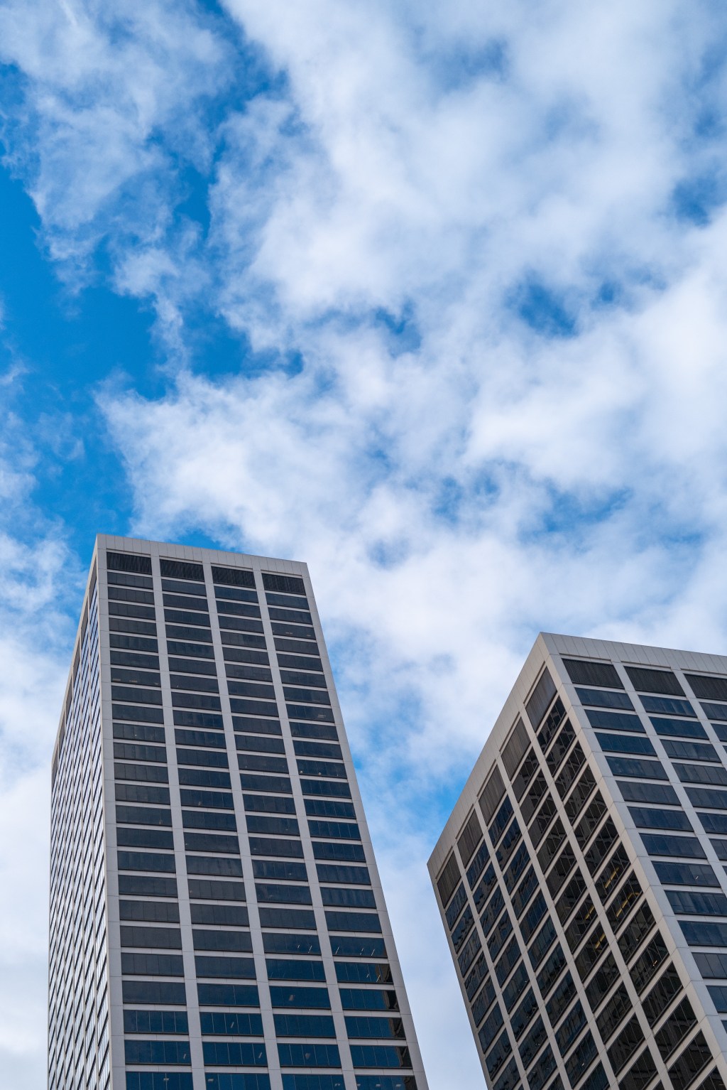 Reaching For the&nbsp;Sky