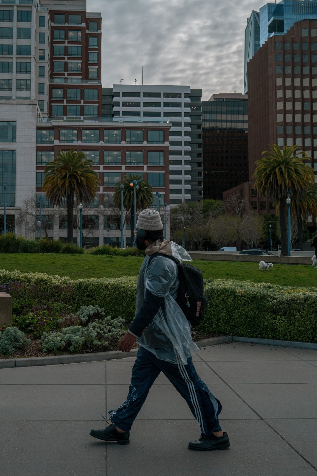 Taking in the&nbsp;View