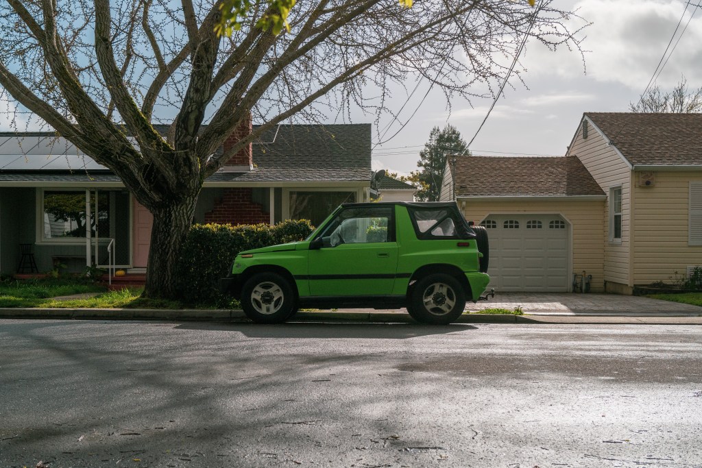 Taking In the&nbsp;Greenery