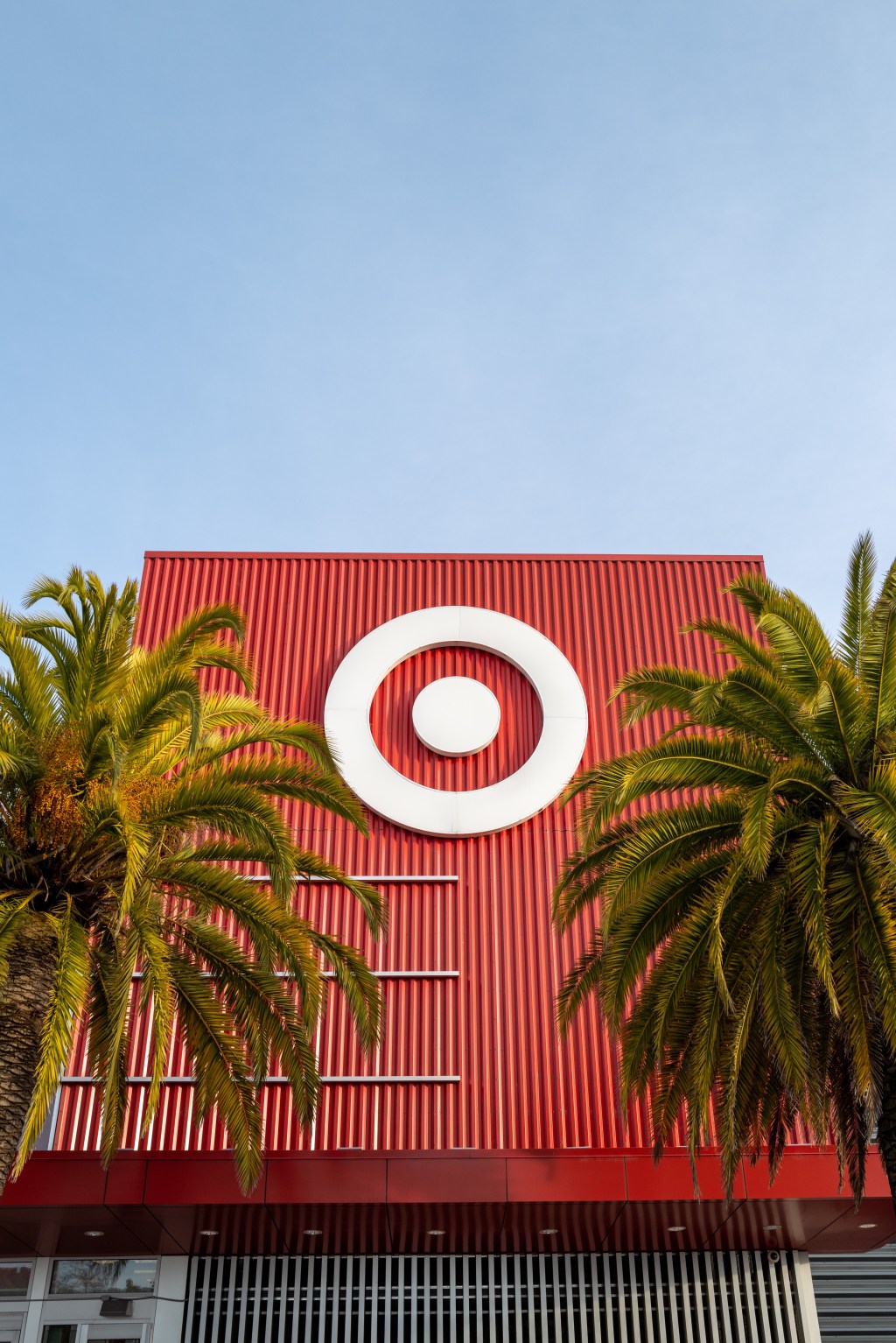 Palm Target