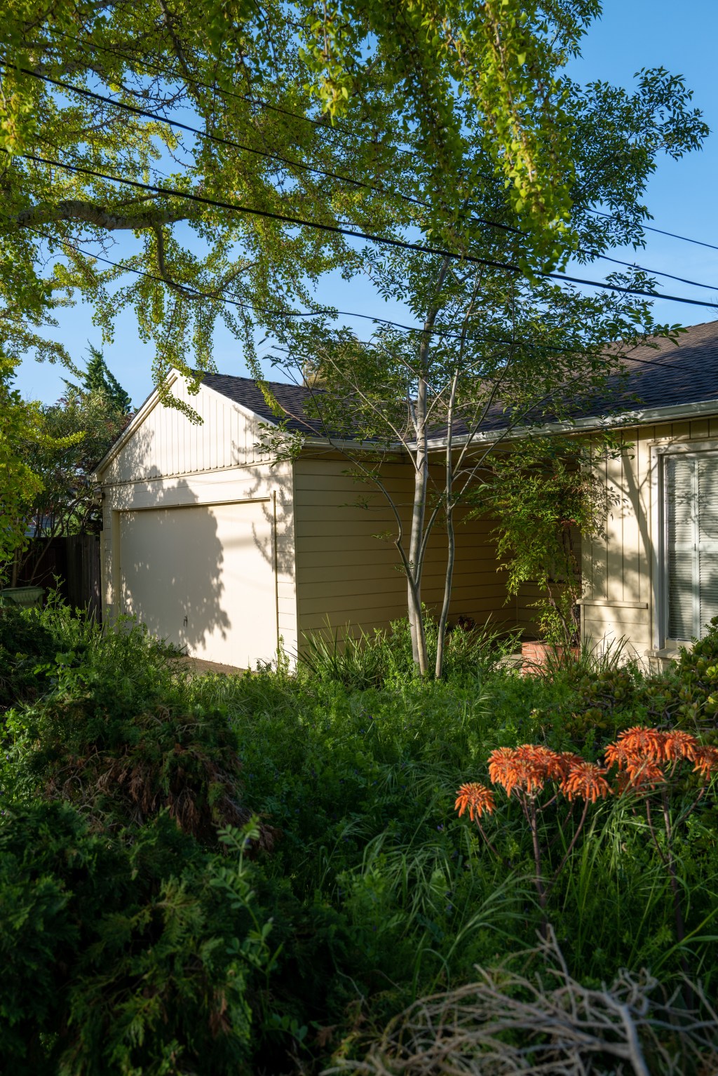 Sunrise Behind the&nbsp;Trees