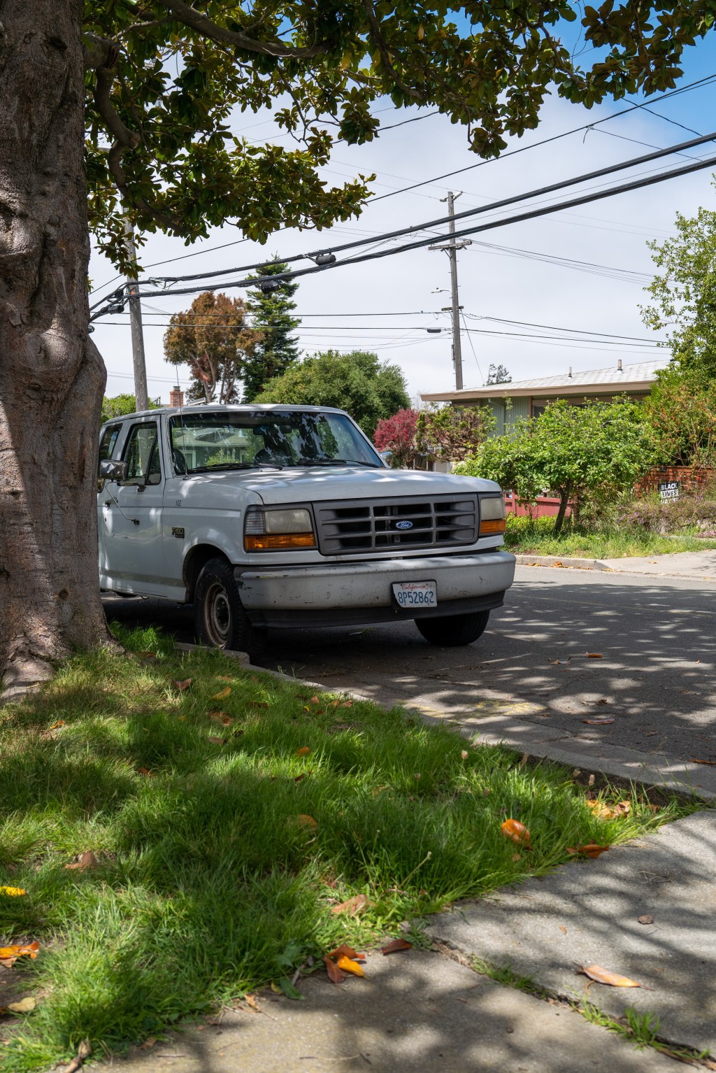 Box Nose Peaking&nbsp;Out