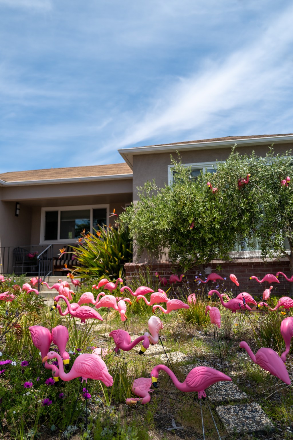 Flamingo Lair
