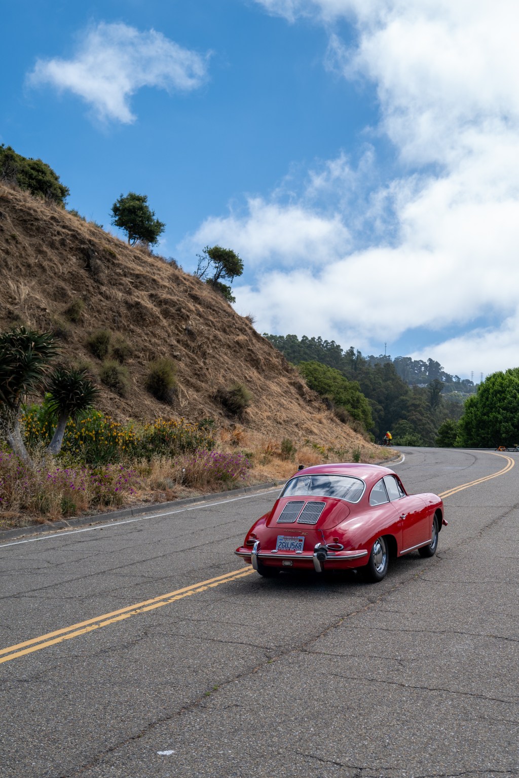 Documenting the Cruise