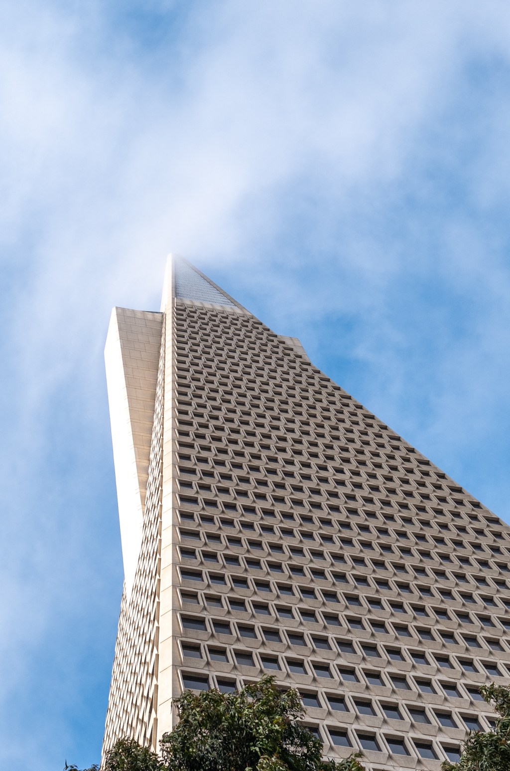 Transamerica Splitting Fog