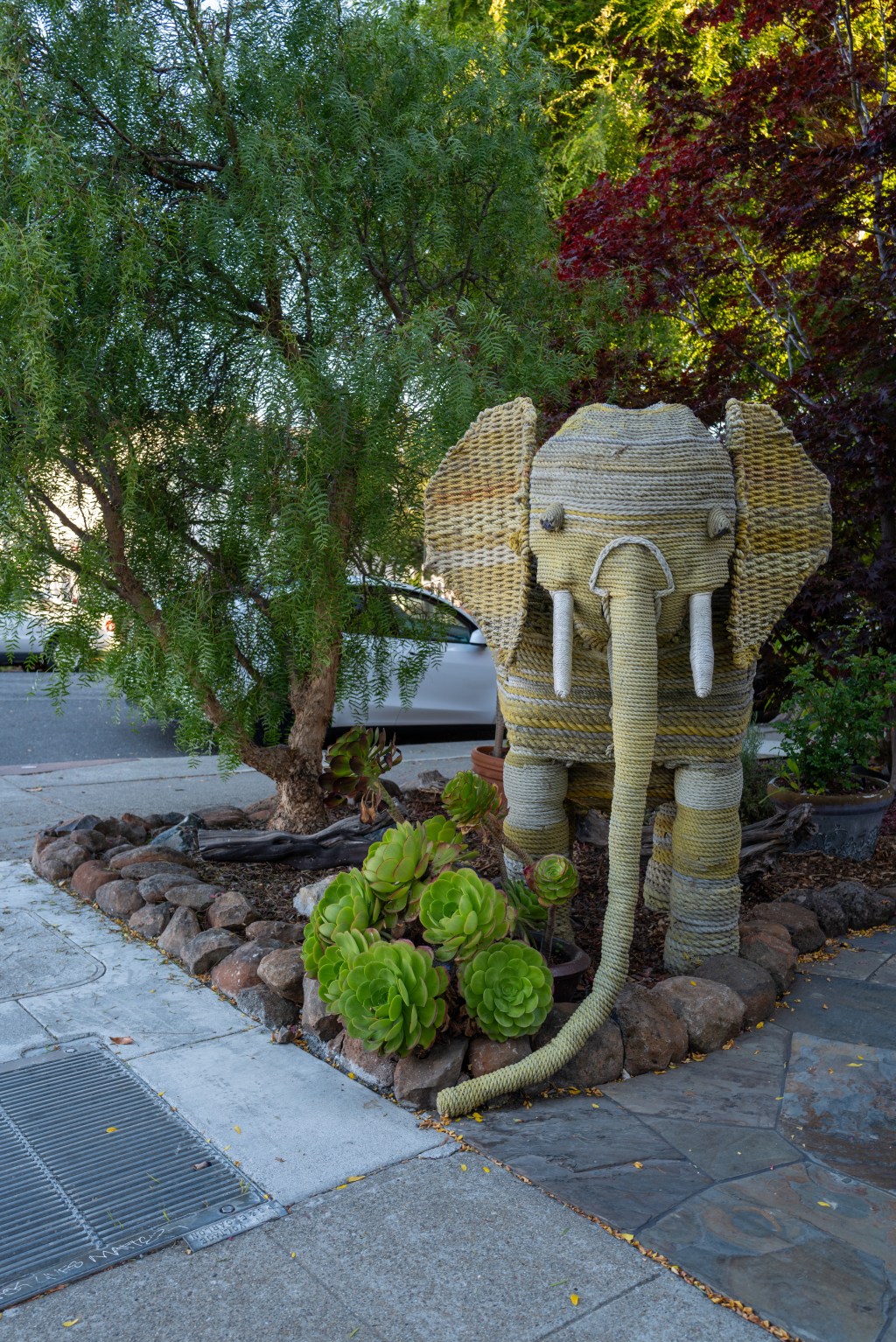 Corner Elephant