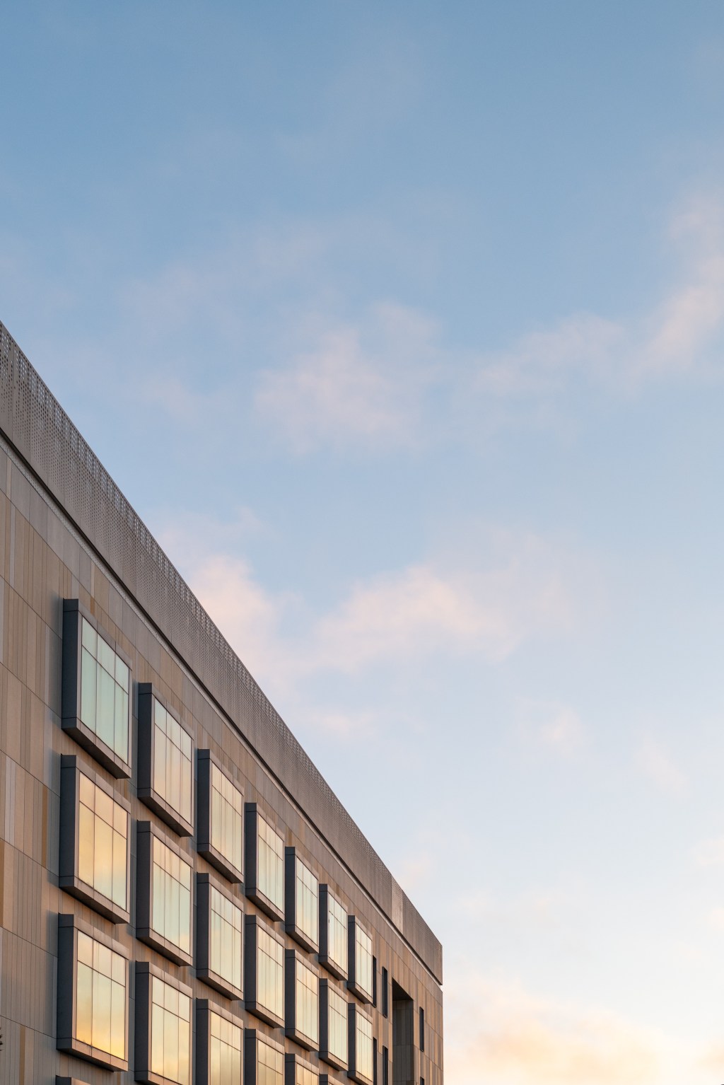 Reflective Cotton Candy