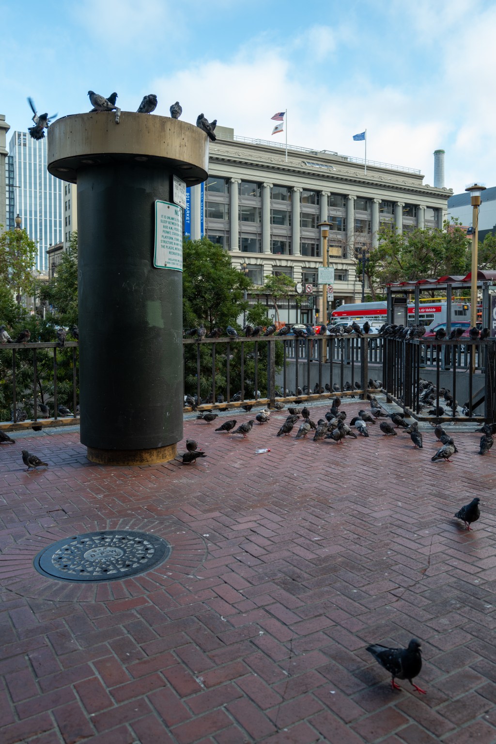Pigeon City